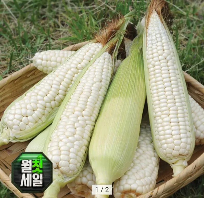 [옥션] 미백 찰옥수수 10개입