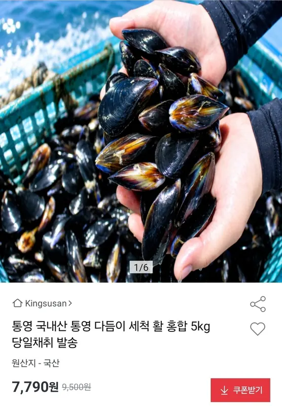 [옥션] 통영 다듬이 세척 활 홍합 5kg (7,790원/무료)