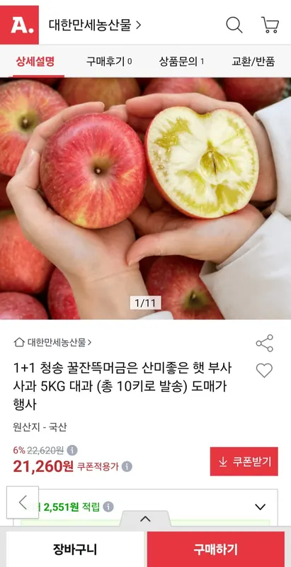 [옥션] 청송 햇 부사 사과 5kg 대과 1+1 (21,260원/무료배송)