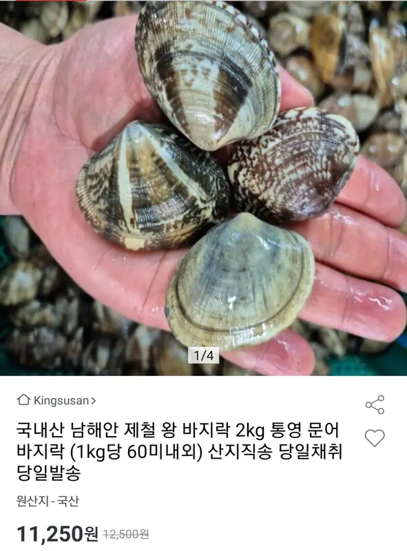 [옥션] 국내산 남해안 문어바지락 2kg 120미내외