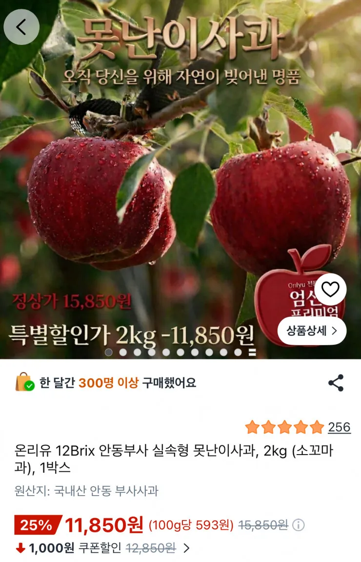 [쿠팡] 12브릭스 안동부사 실속형 못난이사과 2kg