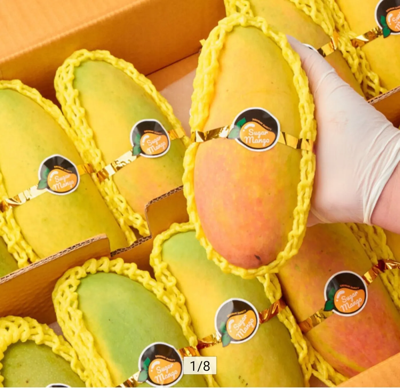 [옥션] 무지개망고 2kg (12,400원/무료)