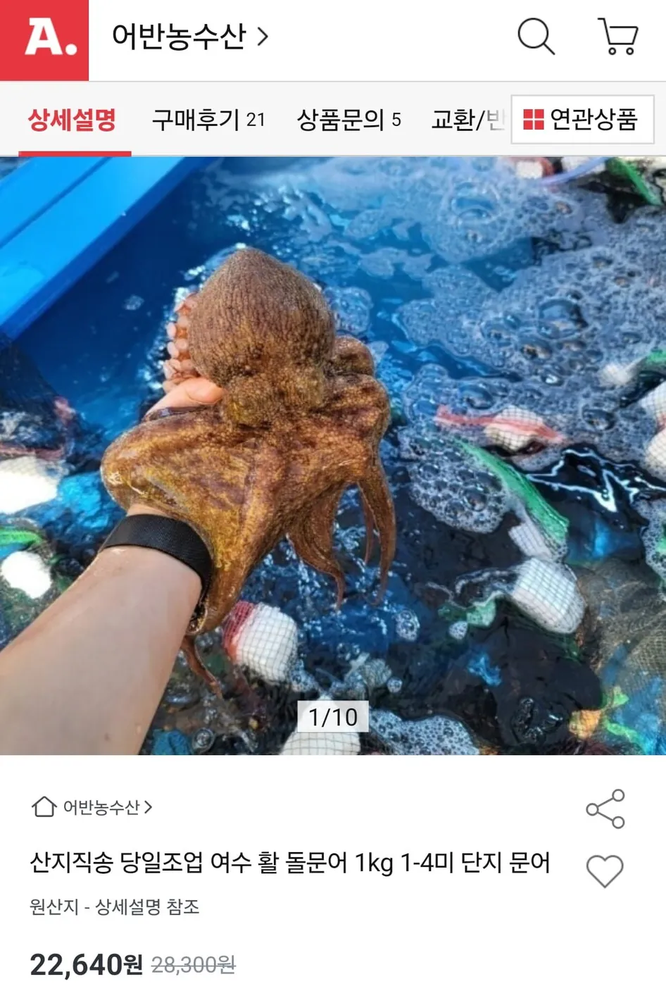 [옥션] 여수 활 돌문어 1kg 1~4미 (22640원/무배)