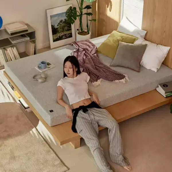 [11번가] 라이프먼트 메모리폼 매트리스 (43,440원 / 무료)