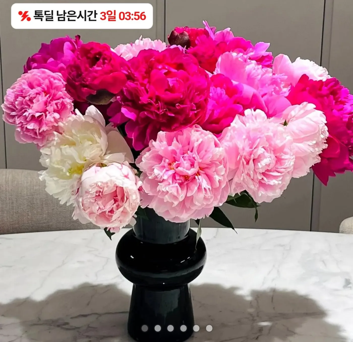 [톡딜] 작약꽃 5송이 (10,137원/무료)