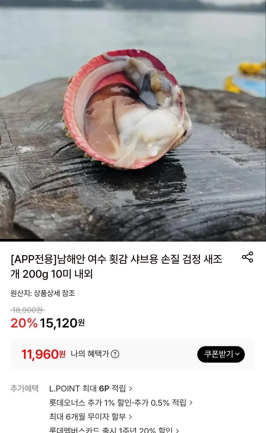 [롯데온] 여수 새조개 200g (손질 후)