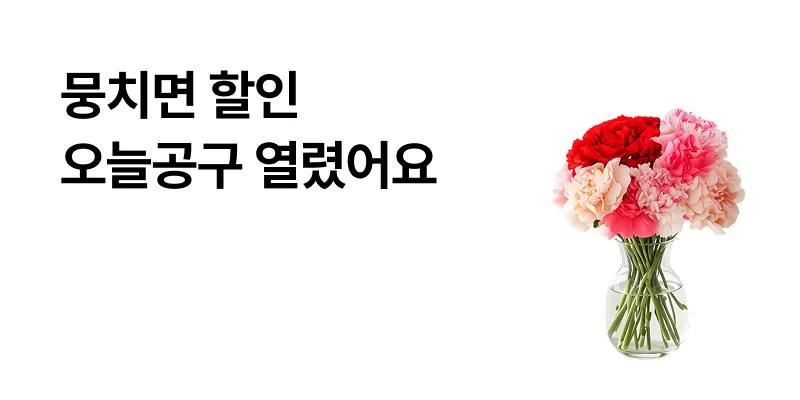 [톡딜] 카네이션 5송이/10송이/20송이 꽃다랍 7,900원 부터 무배