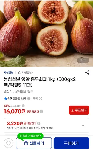 [G마켓] 영암 홍무화과 1kg (16,920원/무료)