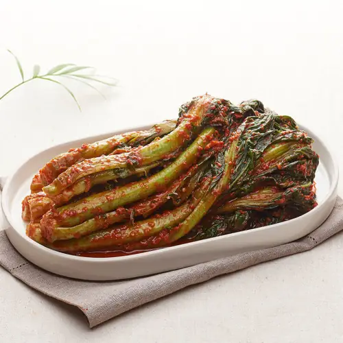 [옥션] 참맛나김치 여수 돌산갓김치 1.5kg (8,770원/무료)