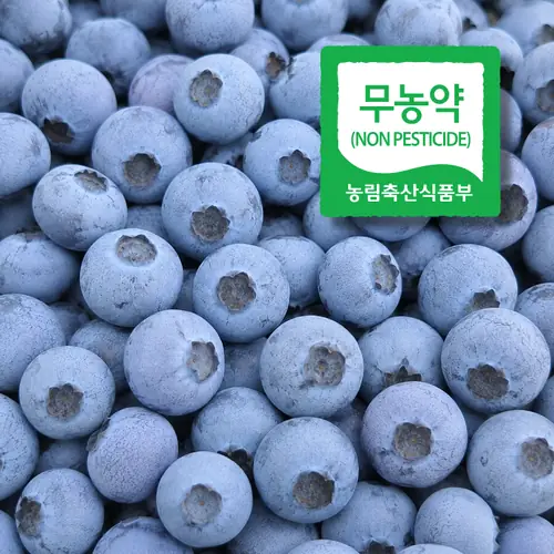 [롯데온] 국내산 무농약 생블루베리 1kg (33,730원/무료)