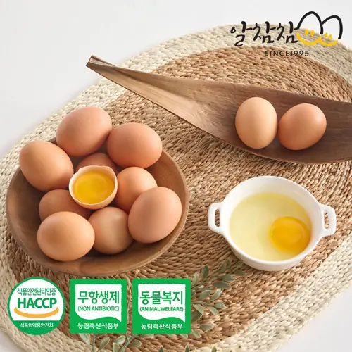 [토스쇼핑] 알참참 무항생제 동물복지 유정란, 난각번호 2번, 30구, 1개(11,500원/무료)