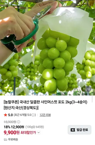 [네이버] 국내산 샤인머스켓 2kg (9,900원/무료배송)