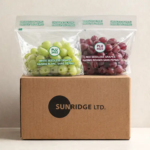 [토스쇼핑] 썬리지 청포도, 900g, 1개 + 적포도, 900g, 1개, 1세트 (13,900원 / 무료)