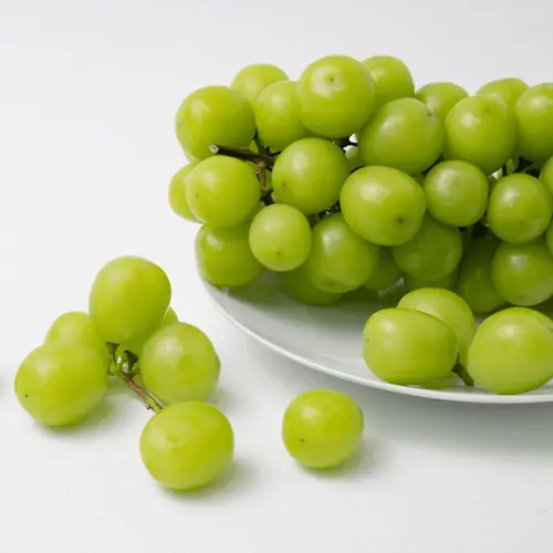 [토스쇼핑] 하나의팜 샤인머스켓, 4-5수, 2kg, 1박스 (12,400원 / 무료)