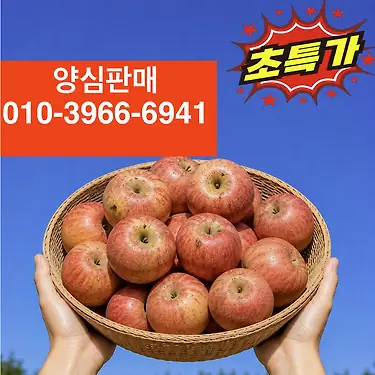 [톡딜] 못난이 사과 10kg