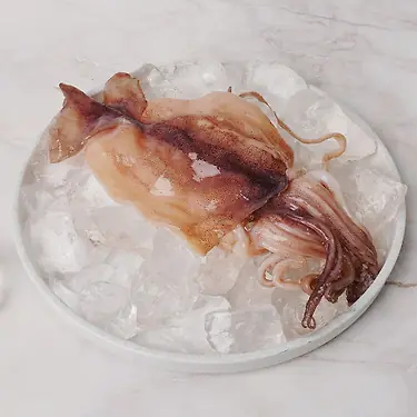 [톡딜] 냉동오징어 구이 볶음용 500g