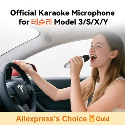 테슬라 T1-카라오케 마이크, USB-A 및 USB-C 수신기가 있는 충전식 카라오케 마이크, 플러그하여 사용, 페어링 필요 없음