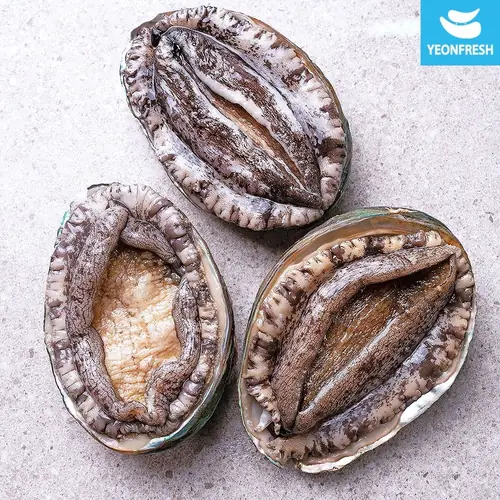 [롯데온] 완도 활 전복 1kg 9~10미