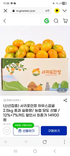 [G마켓] 제주 하우스감귤