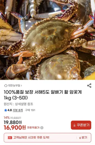 [G마켓] 국내산 100% 알배기 활 암꽃게 500g+500g(총 1kg) 3-5미 (중사이즈) (17,900원/무료)