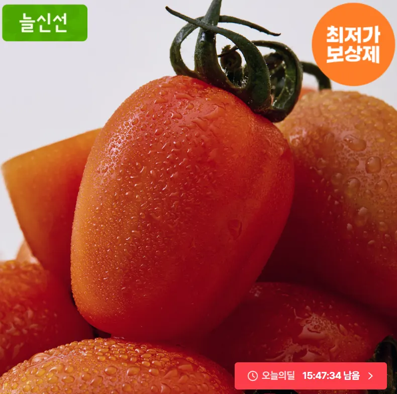 [오늘의집] 스테비아토마토 500g 4팩 (9,013원/무료)