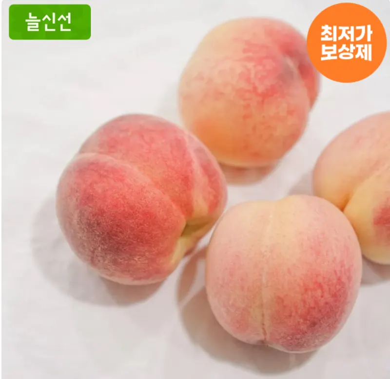 [오늘의집] 대극천복숭아 2kg (10,775원/무료)