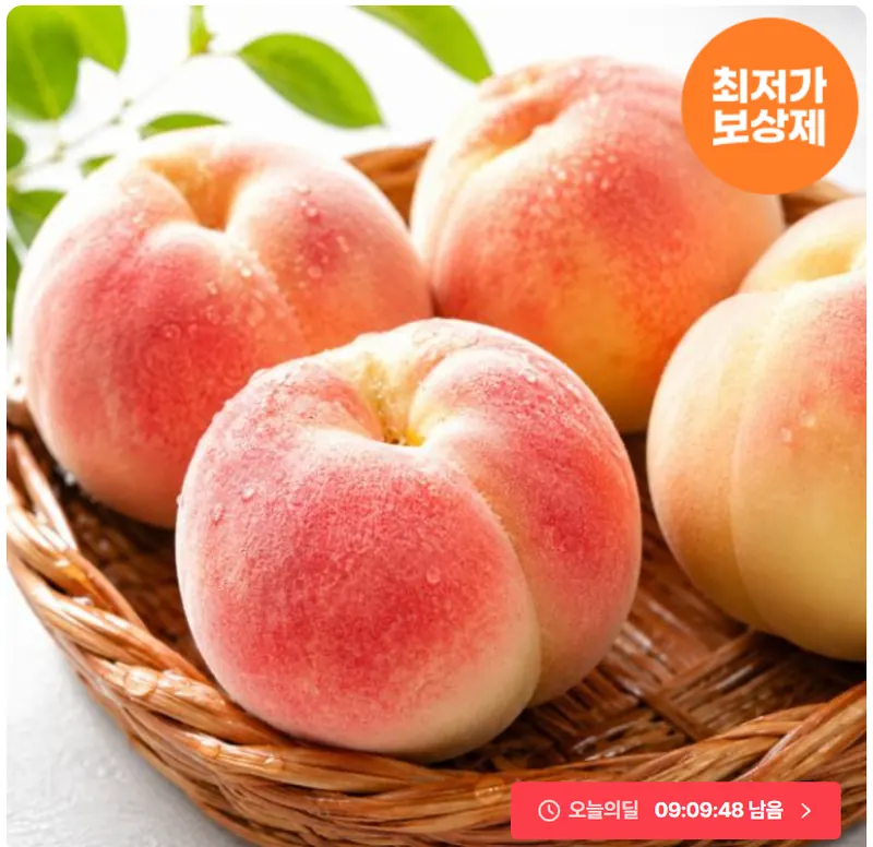 [오늘의집] 고당도 백도 복숭아 로얄과 2kg (토스17,015원/무료)