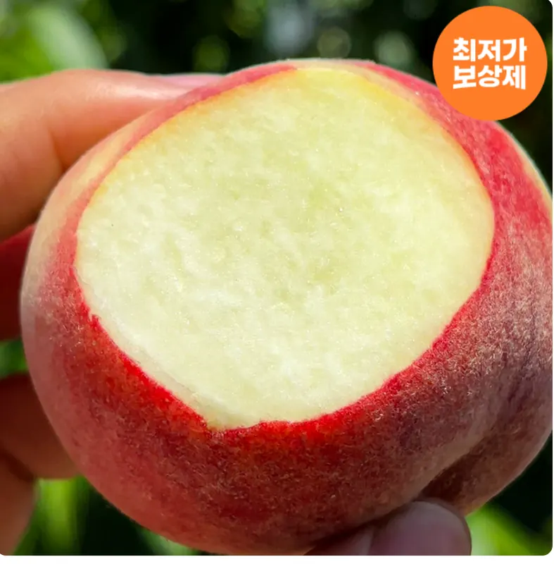 [오늘의집] 대극천 반납작 복숭아 2kg (9,563원/무료)