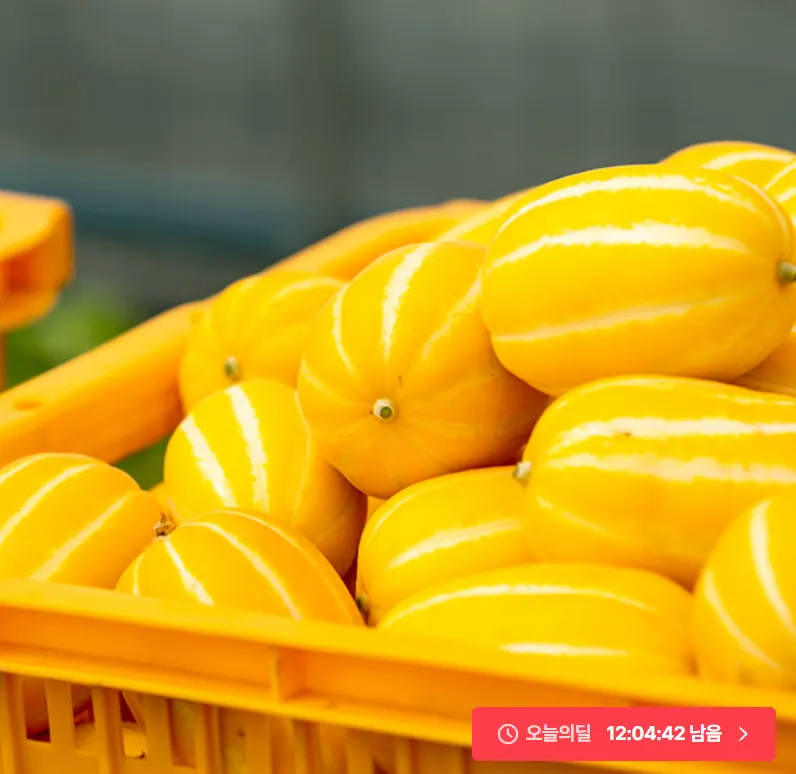 [오늘의집]성주 꿀당도 참외 5kg 중과 (6,624원/무료)