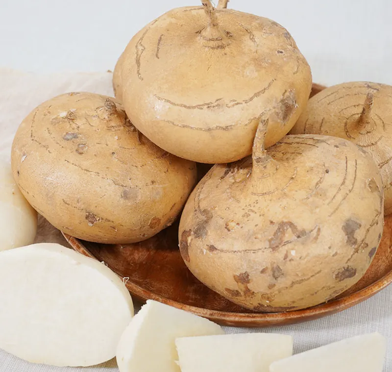 [네이버]히카마 멕시코감자 히까마 맥시코감자 베트남 얌빈 인디언 3kg 5kg 10kg