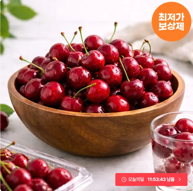 [오늘의집] 캘리포니아 생 체리 500g (12,865원/무료)