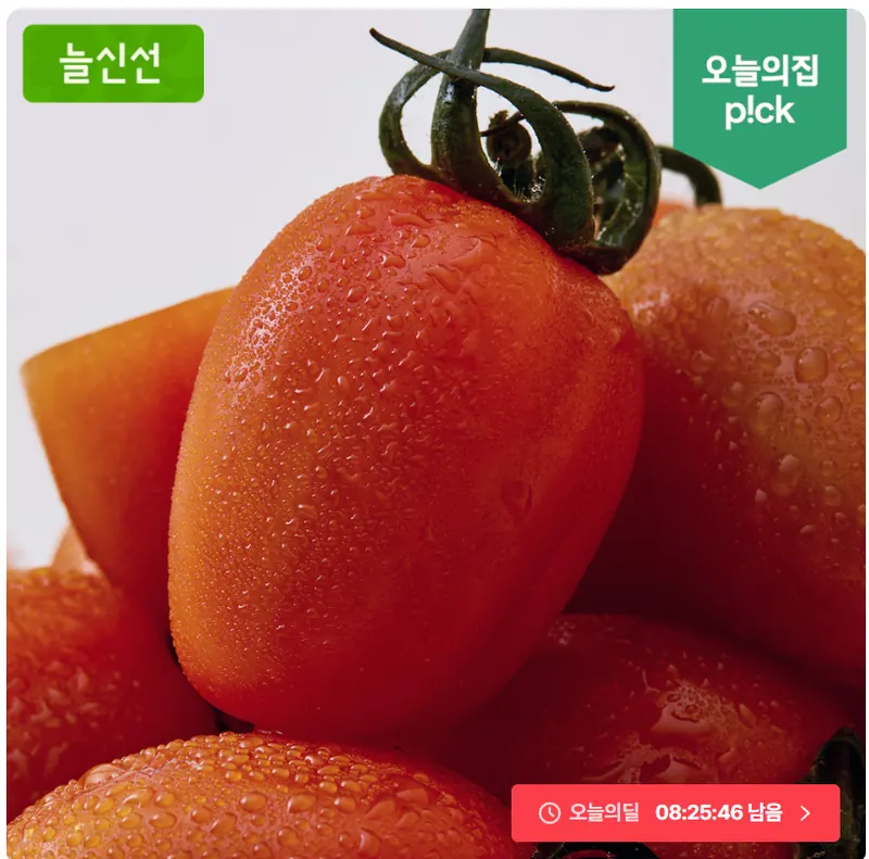 [오늘의집] 스테비아 토망고 500g x 4팩(9,900/무료)